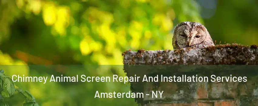  Chimney Animal Screen Repair And Installation Services Amsterdam - NY
