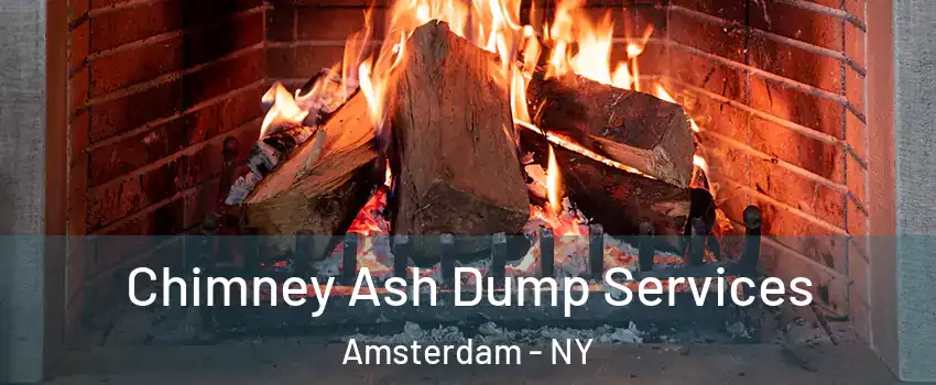  Chimney Ash Dump Services Amsterdam - NY