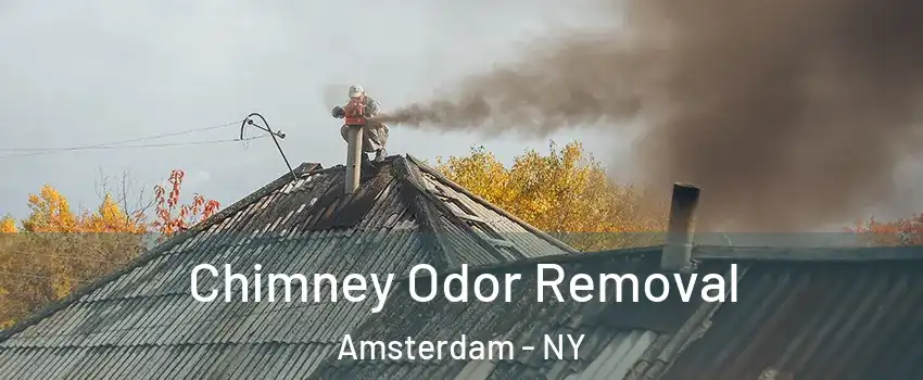  Chimney Odor Removal Amsterdam - NY