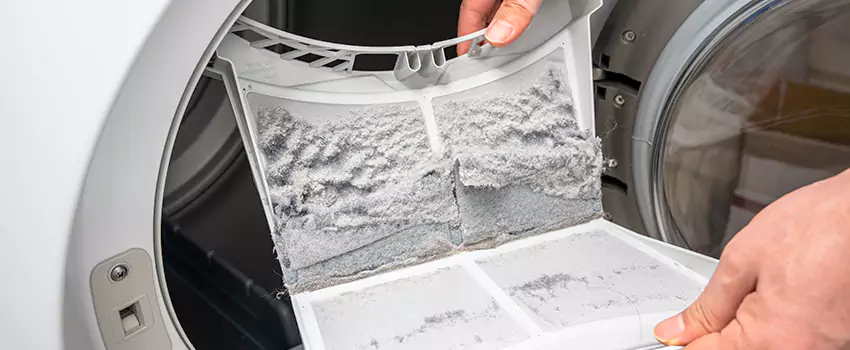 Best Dryer Lint Removal Company in Amsterdam, New York