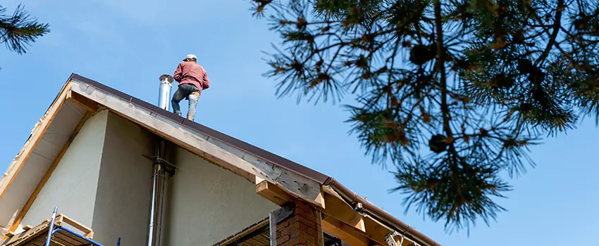 Birds Removal Contractors from Chimney in Amsterdam, NY