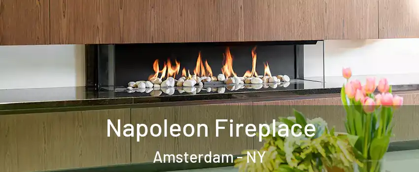  Napoleon Fireplace Amsterdam - NY