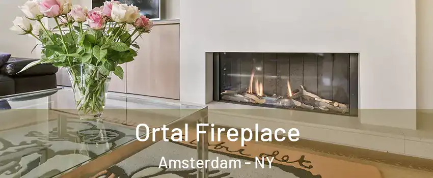  Ortal Fireplace Amsterdam - NY